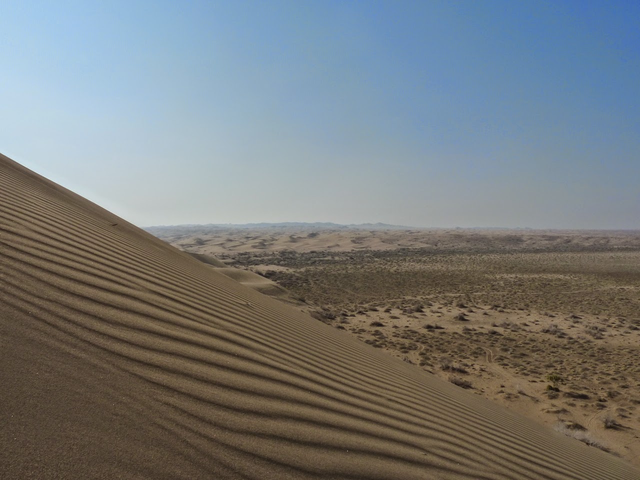 Unberührte Natur in Wüste