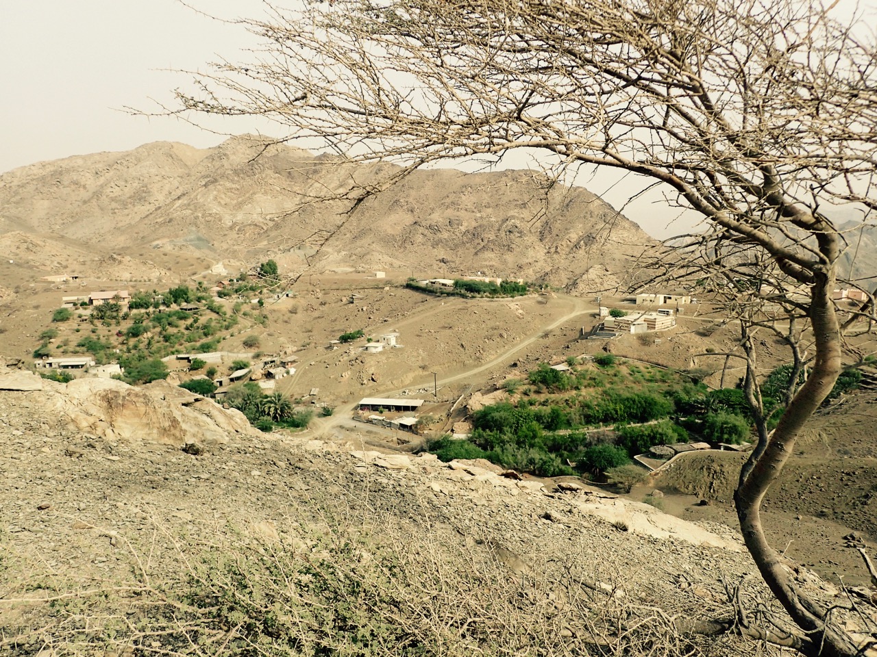 Wadi Sana
